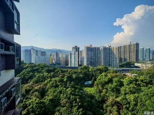 偉景花園 4座 - 28NTS – 香港北部都會區