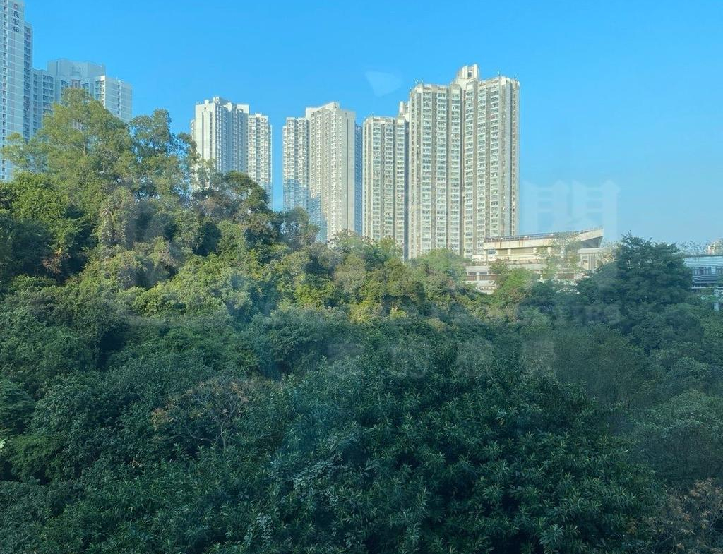 曉峰園 3座 - 28NTS – 香港北部都會區