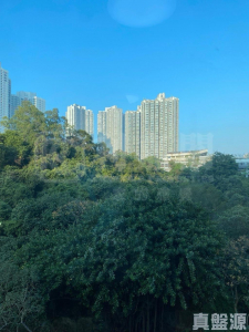 曉峰園 3座 - 28NTS – 香港北部都會區