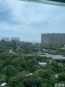 緹岸 1期 1座 - 28NTS – 香港北部都會區