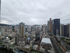萬景峯 1座 - 28NTS – 香港北部都會區