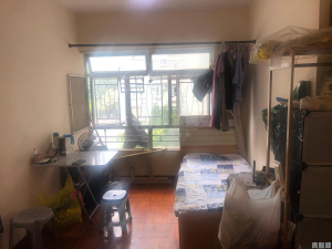 彩華花園 B座 - 28NTS – 香港北部都會區