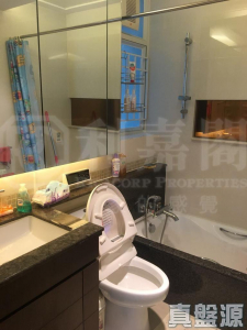 藍天海岸 4期 水藍‧天岸 3座 - 28NTS – 香港北部都會區