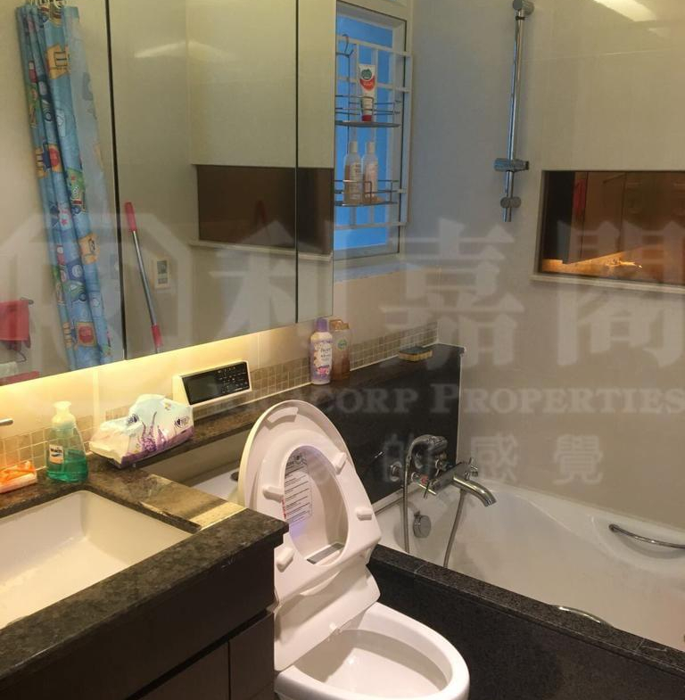 藍天海岸 4期 水藍‧天岸 3座 - 28NTS – 香港北部都會區
