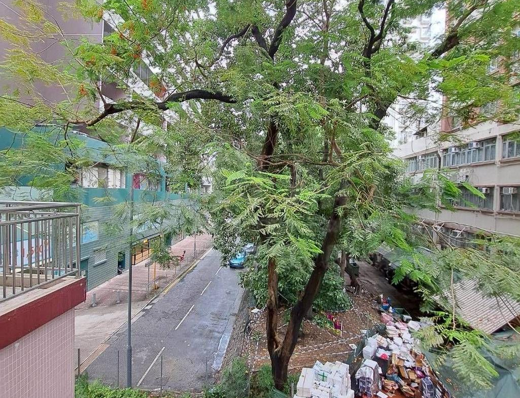 金源大廈 - 28NTS – 香港北部都會區
