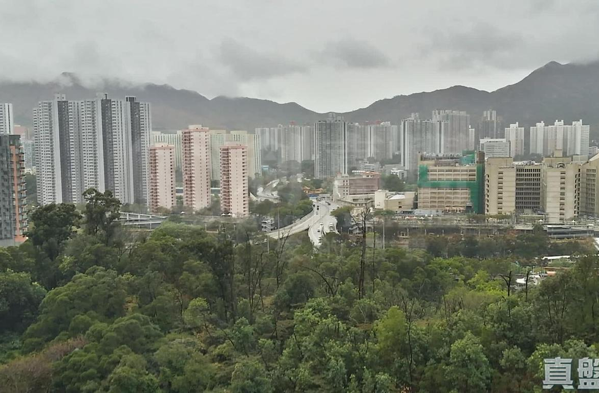 御半山 1期 1B座 - 28NTS – 香港北部都會區