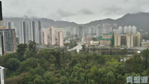御半山 1期 1B座 - 28NTS – 香港北部都會區