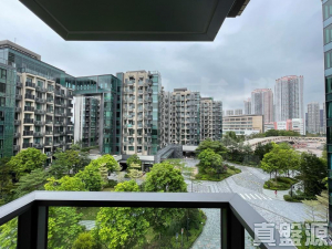 WETLAND SEASONS PARK 3期 9座 - 28NTS – 香港北部都會區