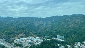 碧堤半島 1期 8座 - 28NTS – 香港北部都會區