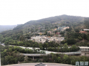 綠楊新邨 G座 - 28NTS – 香港北部都會區