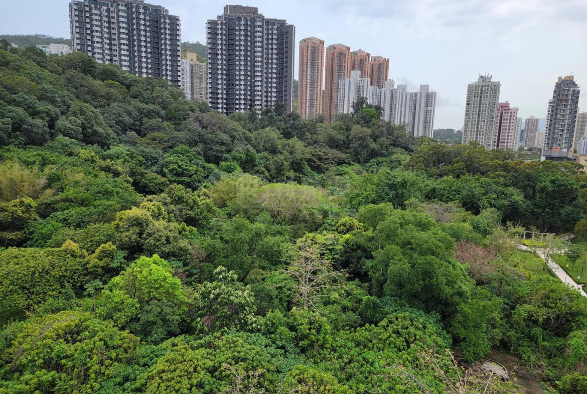 彩暉花園 A座 - 28NTS – 香港北部都會區