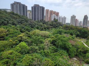 彩暉花園 A座 - 28NTS – 香港北部都會區