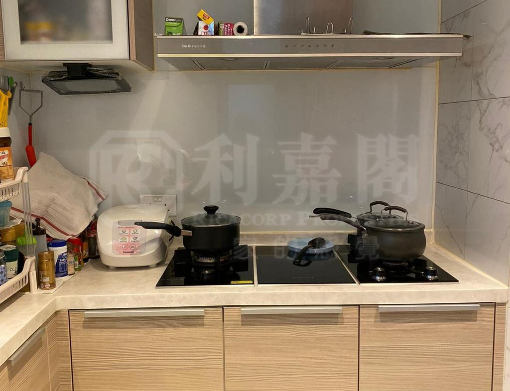 逸瓏灣 I 大廈21座 - 28NTS – 香港北部都會區
