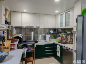 駿景園 2期 9座 - 28NTS – 香港北部都會區