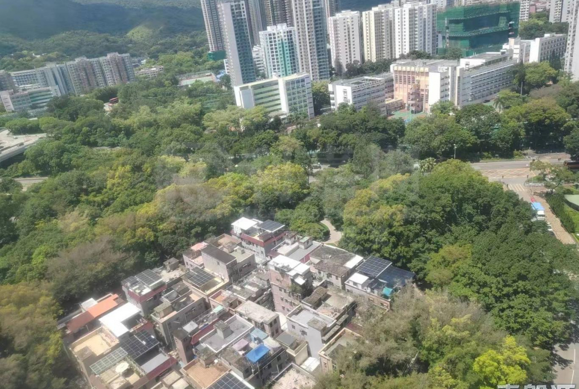 上水名都 羅馬閣 (4座) - 28NTS – 香港北部都會區