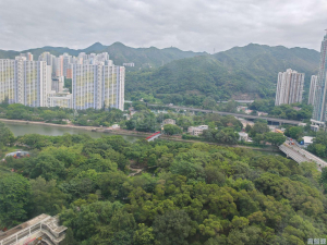 蔚景園 1座 - 28NTS – 香港北部都會區