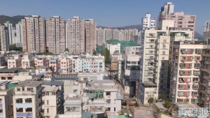 福安樓 3座 (C座) - 28NTS – 香港北部都會區