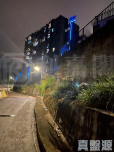 半山洲 - 28NTS – 香港北部都會區