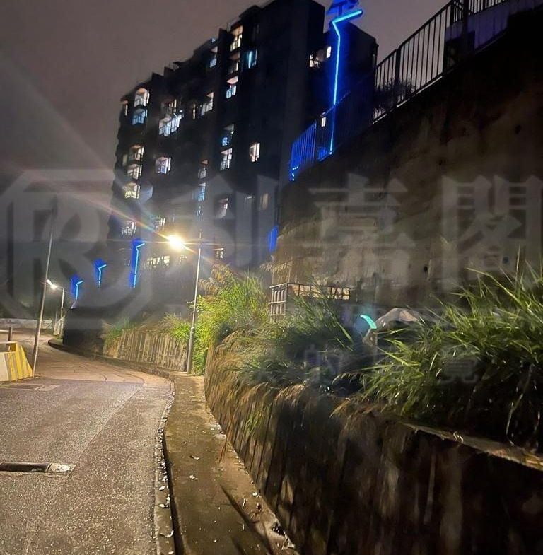 半山洲 - 28NTS – 香港北部都會區