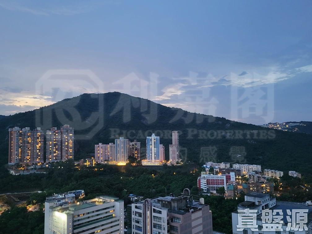 星凱．堤岸 1座 - 28NTS – 香港北部都會區