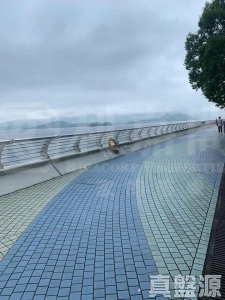 雅典居 5座 - 28NTS – 香港北部都會區