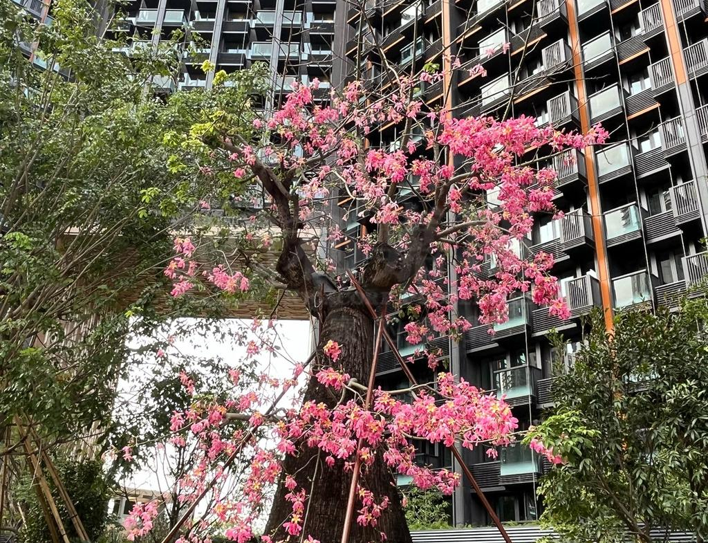 ONE INNOVALE 1期 B座 - 28NTS – 香港北部都會區