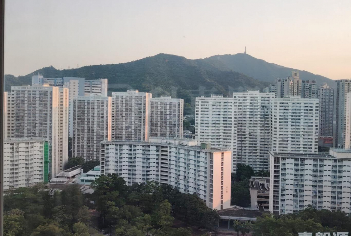 大埔中心 1期 2座 - 28NTS – 香港北部都會區