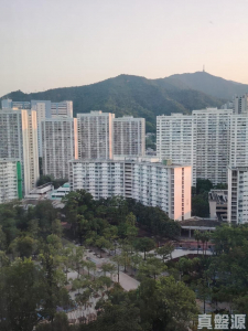 大埔中心 1期 2座 - 28NTS – 香港北部都會區