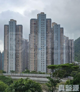 錦龍苑 龍耀閣 (C座) - 28NTS – 香港北部都會區