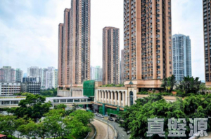 新港城 2期 C座 - 28NTS – 香港北部都會區
