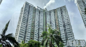 富善邨 善翠樓 (4座) - 28NTS – 香港北部都會區