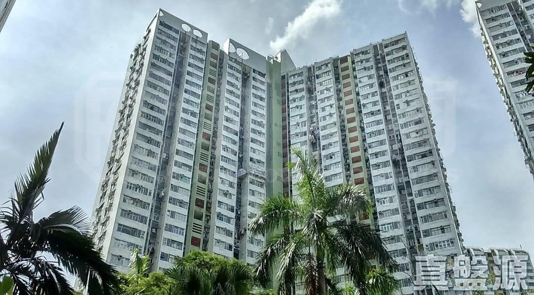 富善邨 善翠樓 (4座) - 28NTS – 香港北部都會區