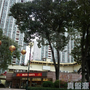 富善邨 善翠樓 (4座) - 28NTS – 香港北部都會區