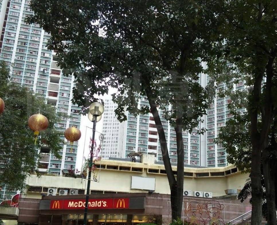 富善邨 善翠樓 (4座) - 28NTS – 香港北部都會區