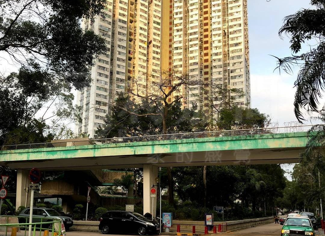 富善邨 善翠樓 (4座) - 28NTS – 香港北部都會區
