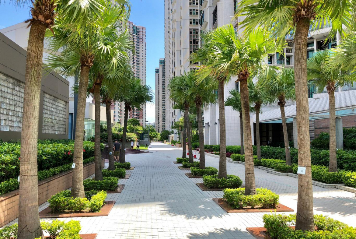 駿景園 1期 2座 - 28NTS – 香港北部都會區