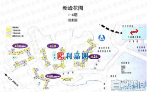 新峰花園 4期 御峰豪園 30座 - 28NTS – 香港北部都會區