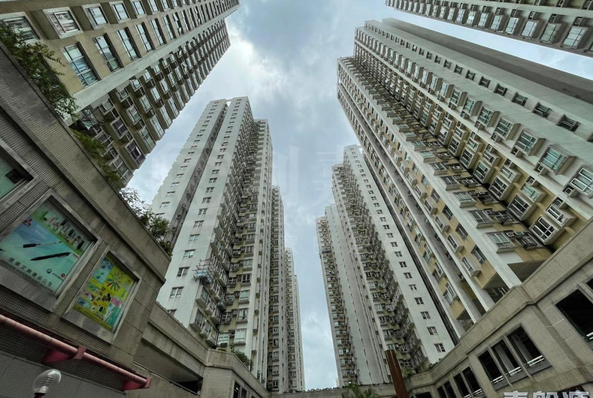 粉嶺中心 1期 B座 - 28NTS – 香港北部都會區