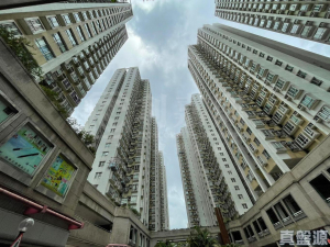 粉嶺中心 1期 B座 - 28NTS – 香港北部都會區