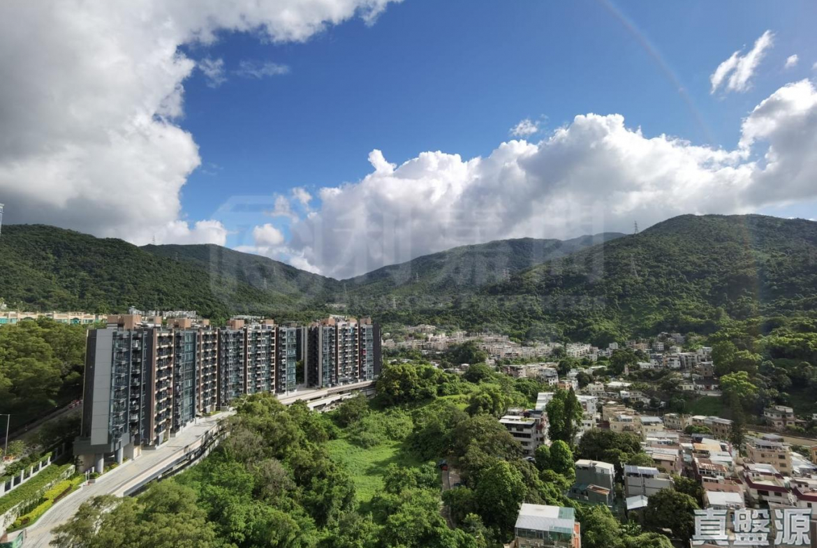天鑽 1座 - 28NTS – 香港北部都會區