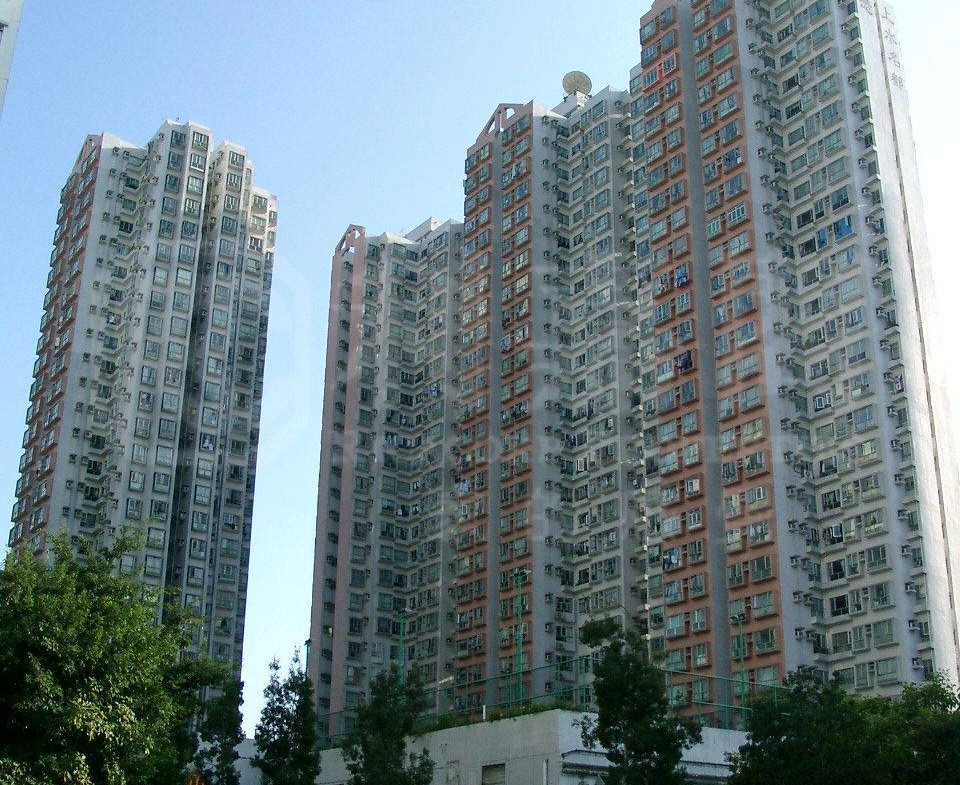 上水名都 柏林閣 (1座) - 28NTS – 香港北部都會區