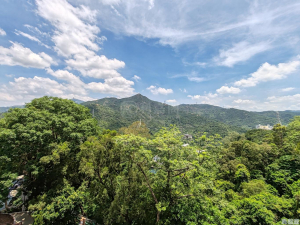 湖景花園 - 28NTS – 香港北部都會區