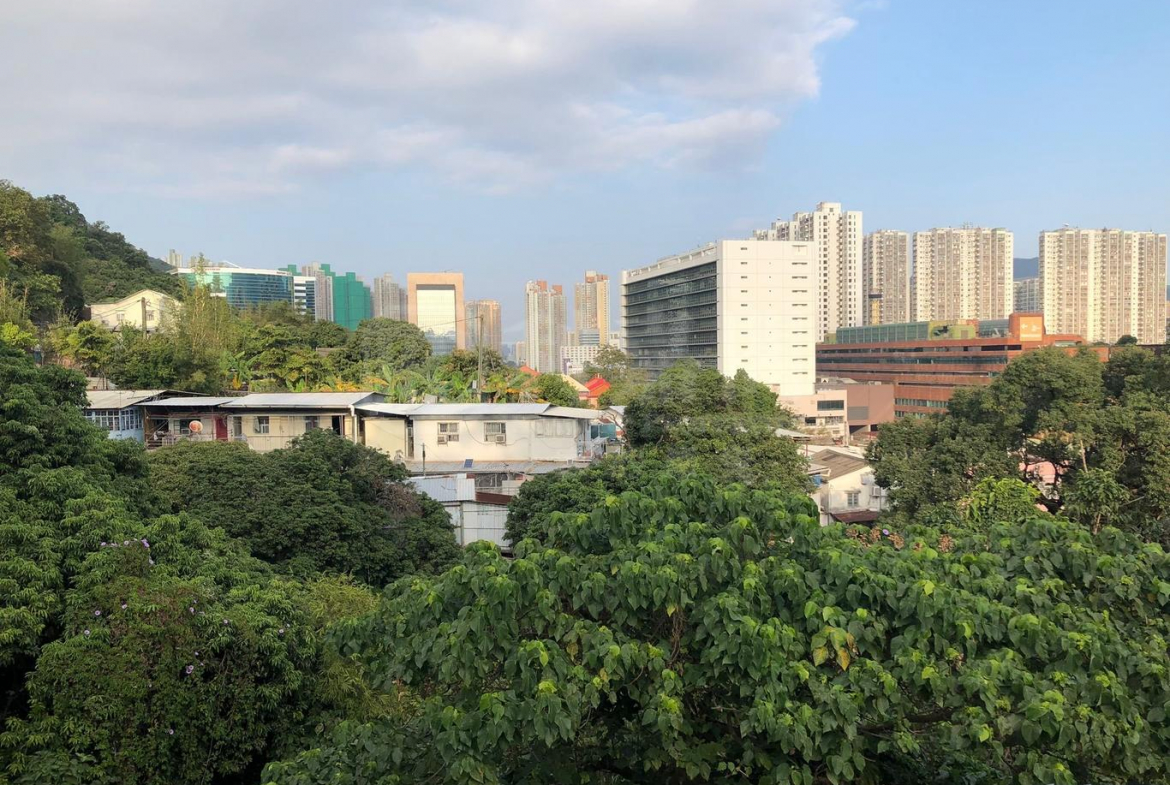 排頭村 222A號(A座) - 28NTS – 香港北部都會區