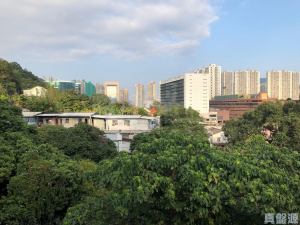 排頭村 222A號(A座) - 28NTS – 香港北部都會區