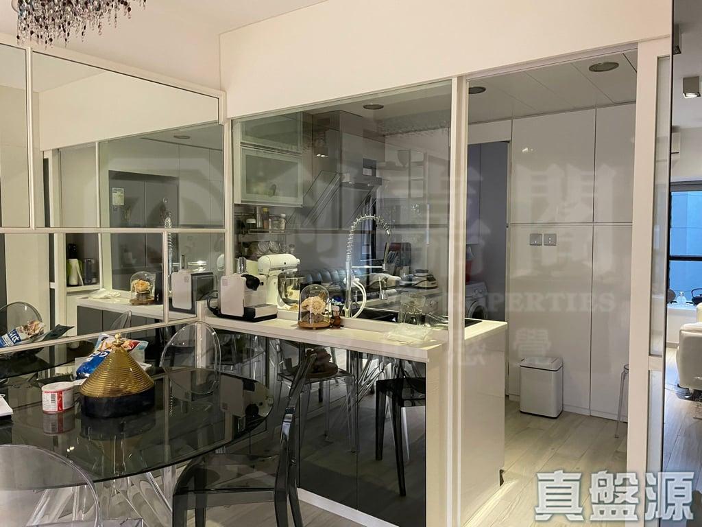 聚龍居 10座 - 28NTS – 香港北部都會區