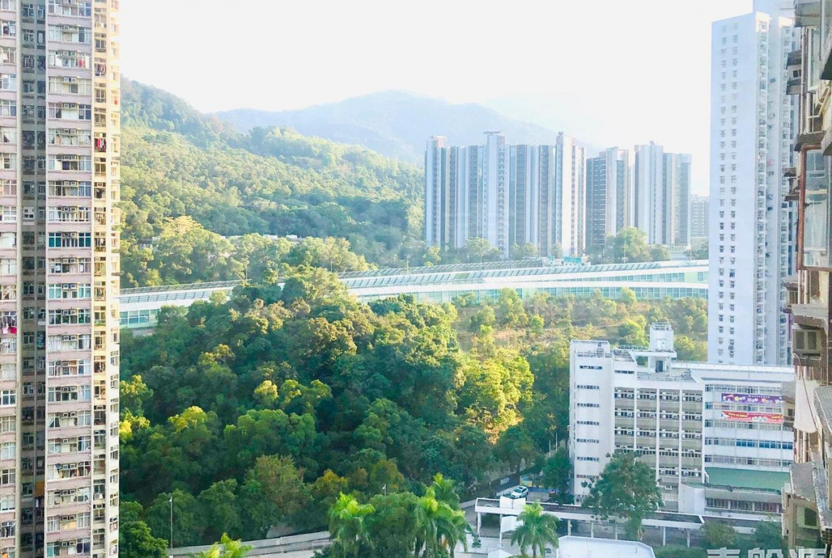 逸雅苑 逸欣閣 (B座) - 28NTS – 香港北部都會區