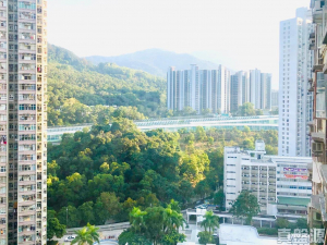 逸雅苑 逸欣閣 (B座) - 28NTS – 香港北部都會區