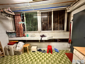 祥華邨 祥和樓 - 28NTS – 香港北部都會區