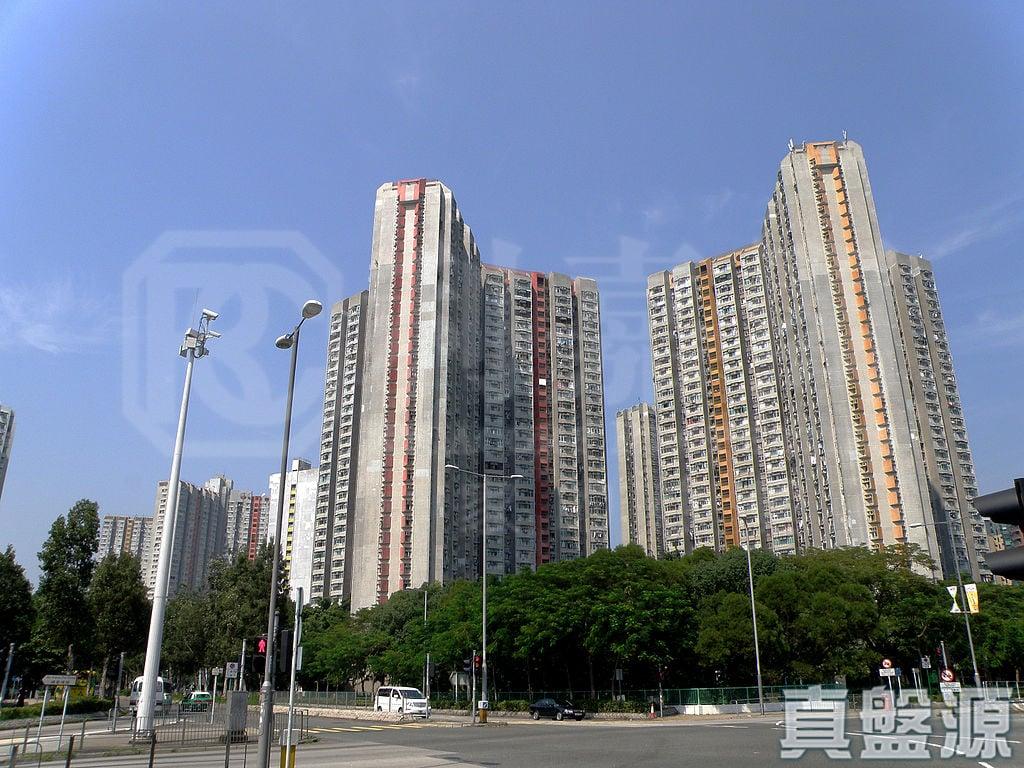 天平邨 天明樓 (4座) - 28NTS – 香港北部都會區