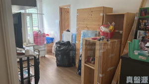 山麗苑 F座 - 28NTS – 香港北部都會區